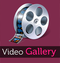 Video Gallery